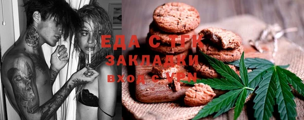индика Алзамай